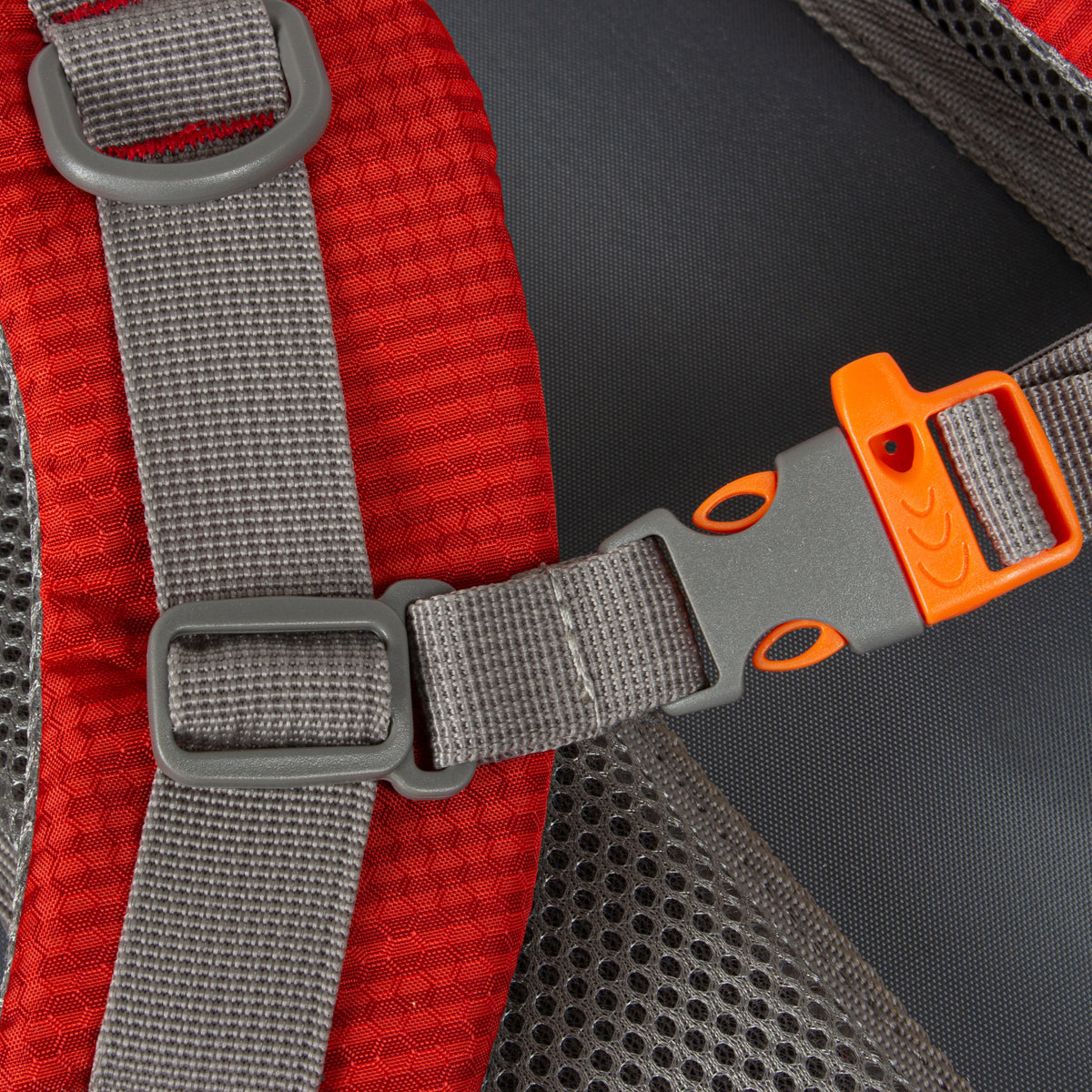 Kinley - Rugtas - Schooltas - Vrijetijdstas - 35 Liter - Nylon